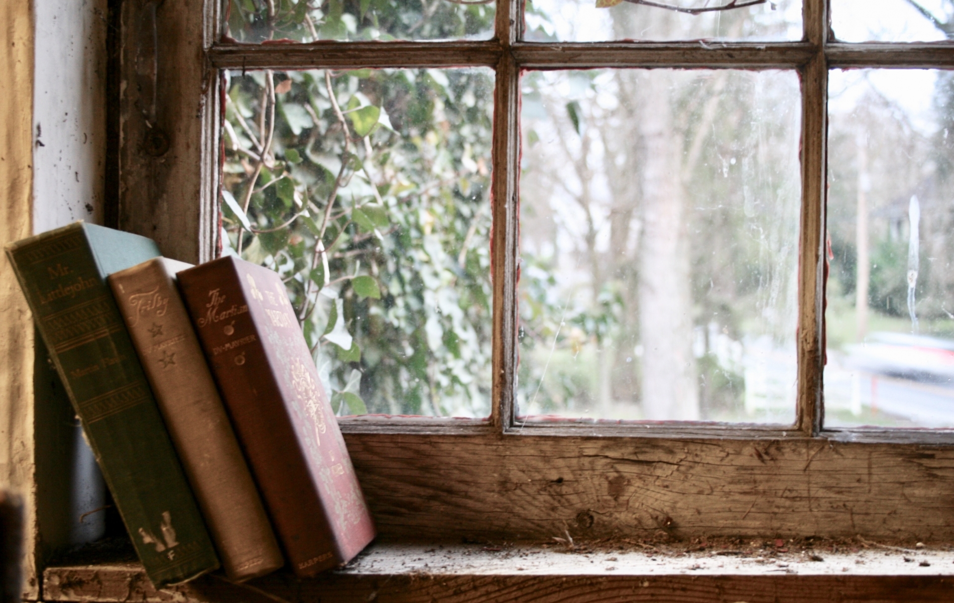 Kirjoja ikkunalaudalla, ulkona talvi.