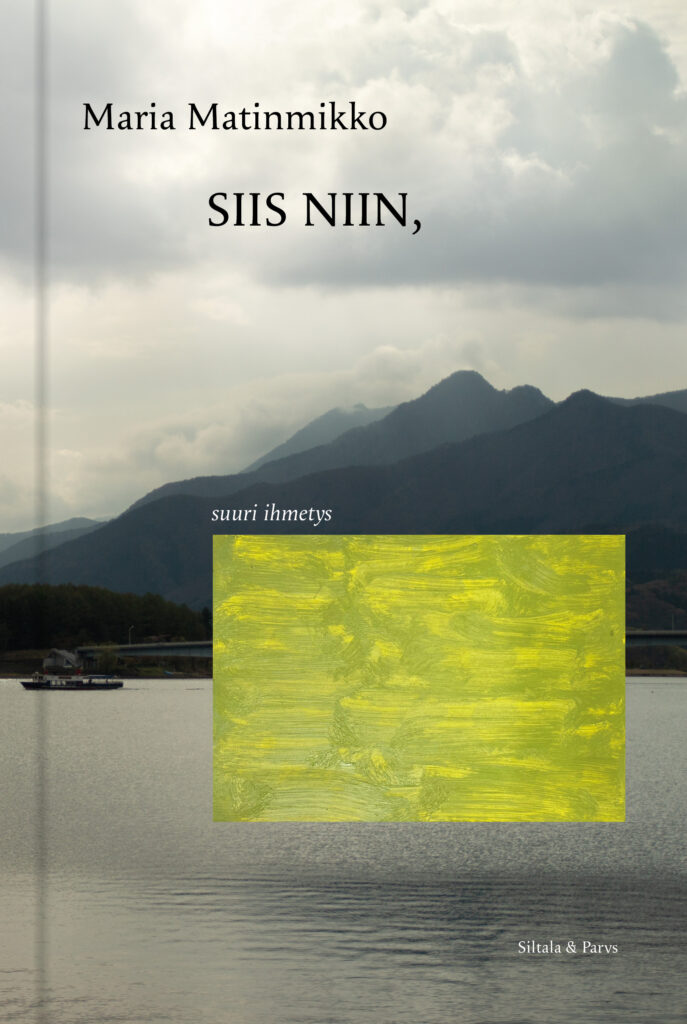 SIIS NIIN -teoksen kansikuva