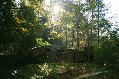 kiviraunio metsässä vastavalossa