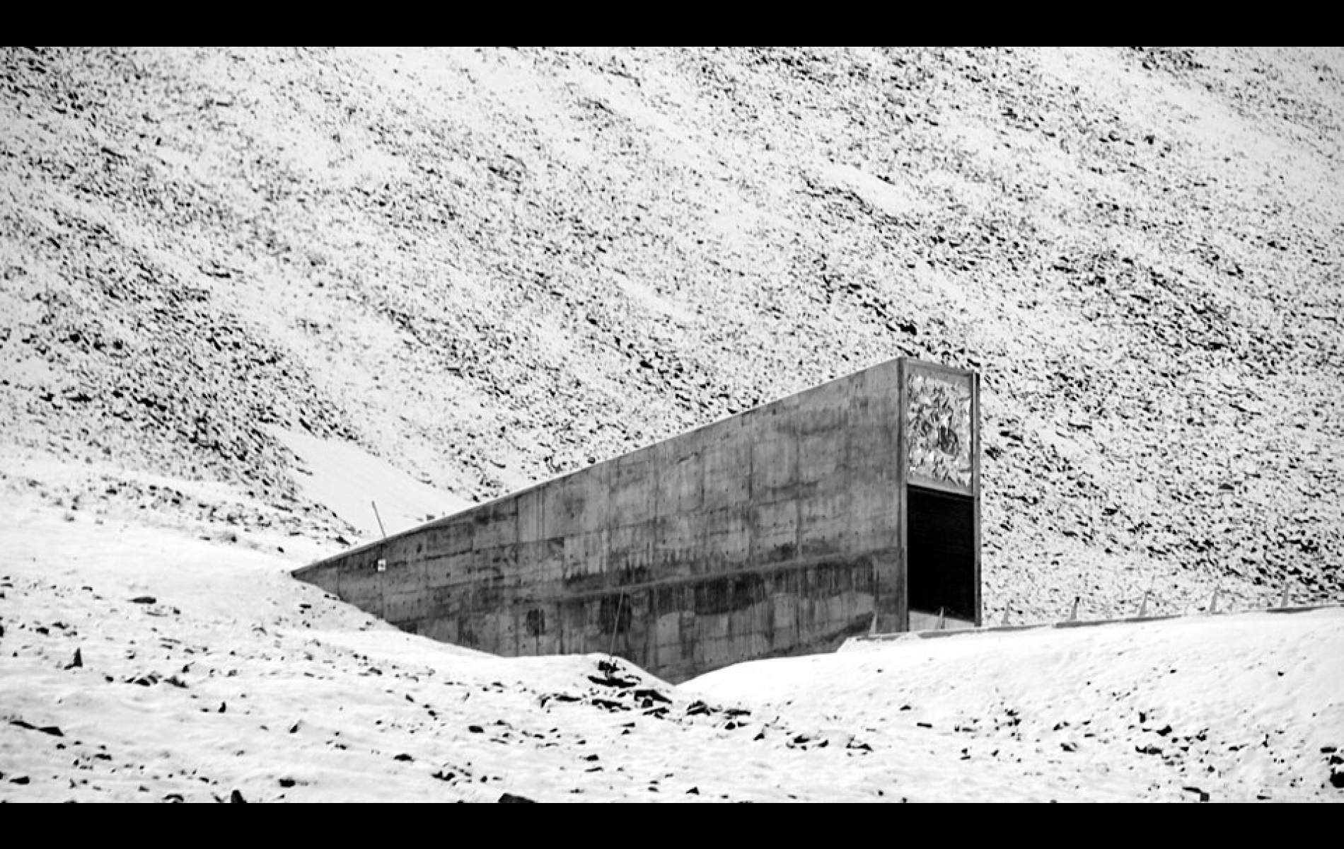 Mustavalkoinen kuva Huippuvuorten siemenholvista