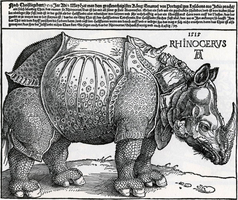 albrecht dürer