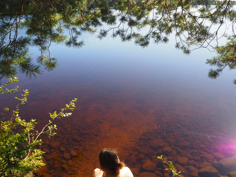 Näkymä järveen, jota kehystää havupuiden oksat