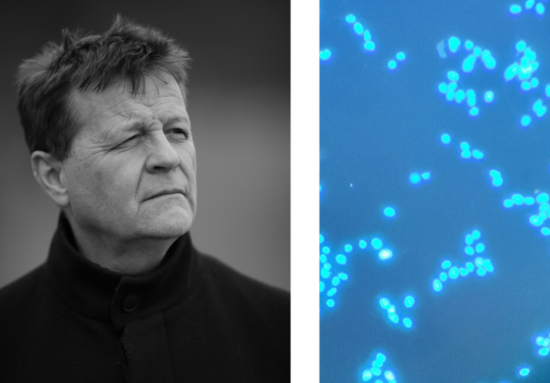 Christian Bök ja hohtavia bakteereja kollaasissa